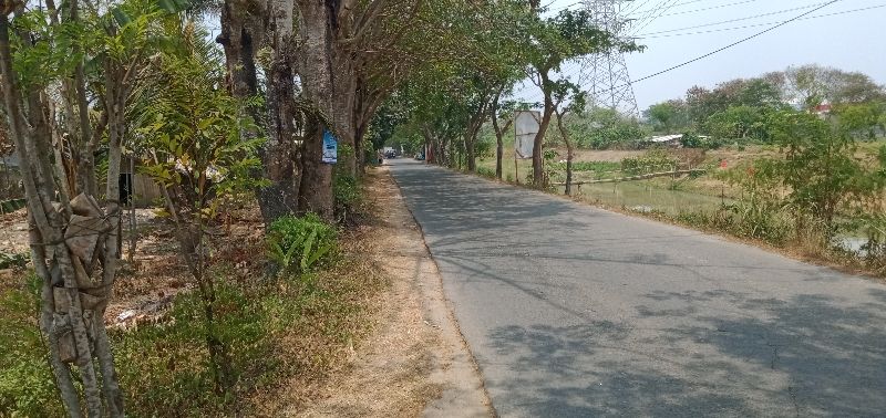 Di Jual Tanah Zona Perumahan Di Dang Deur Balaraja Tangerang