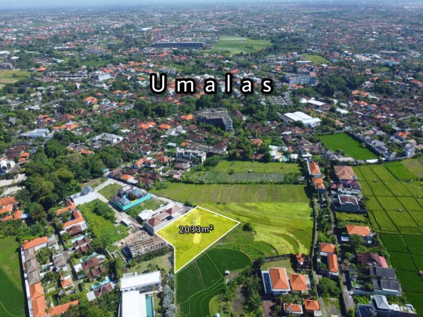 Sebidang Tanah Dengan View Sawah Di Kawasan Umalas I Bali