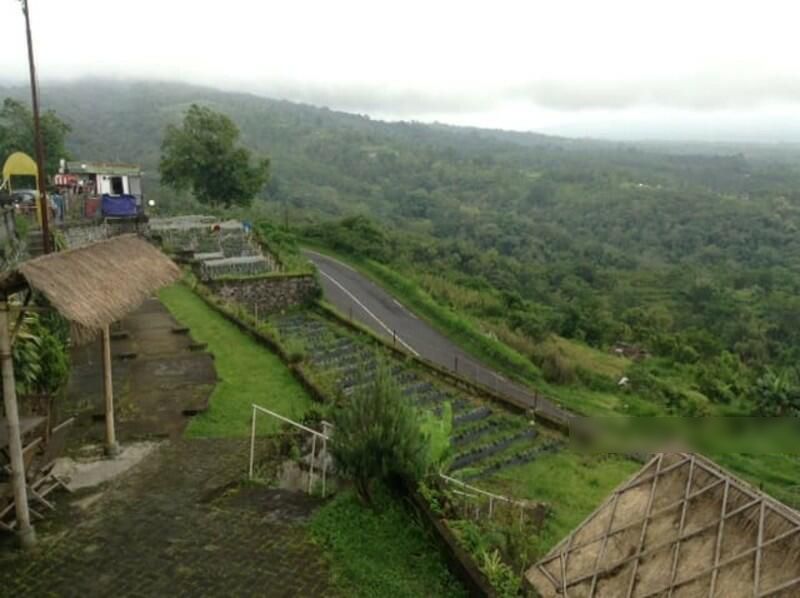 Dijual Cepat & Murah Kebun Stroberi & Restoran Di Bedugul-Tabanan Bali