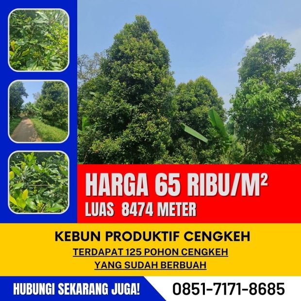 Jual Kebun Cengkeh Bandung