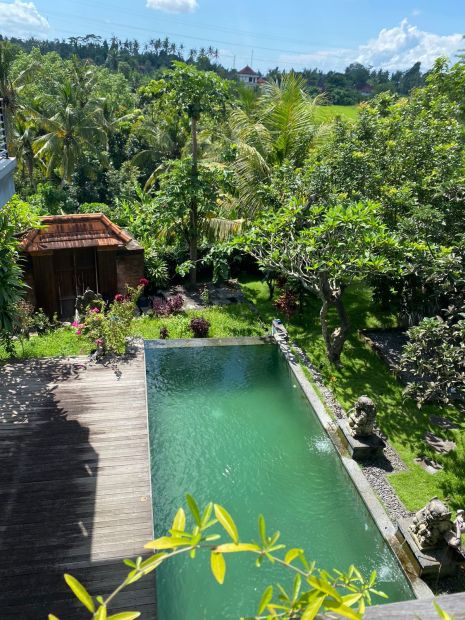 Dijual Villa Mewah Murah Area Ubud Bali