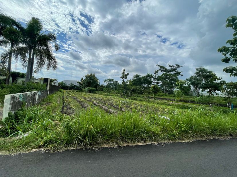 Tanah Murah Dalam Perumahan Taman Palagan Village Sleman Jogja