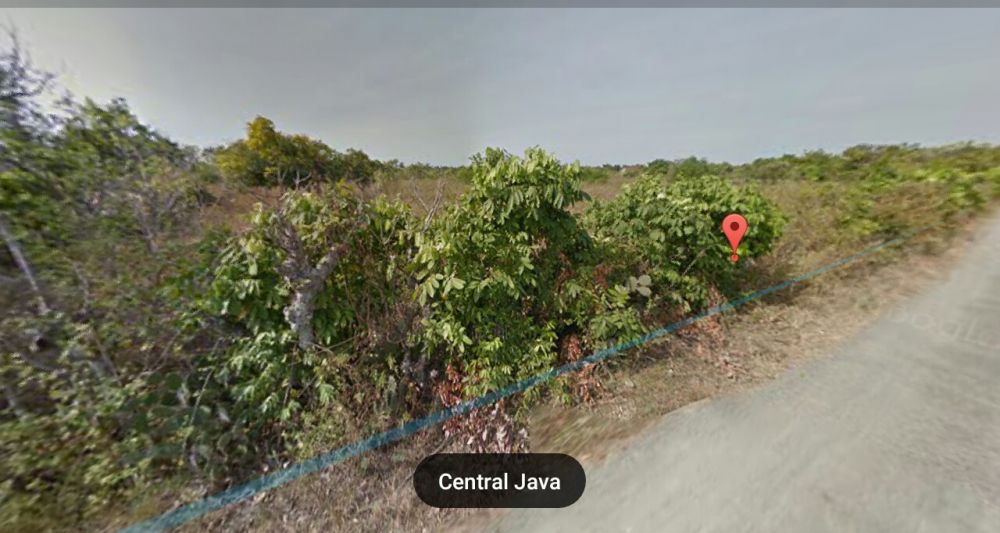 Tanah Pekarangan Dekat Jalan Pantura Kragan Rembang