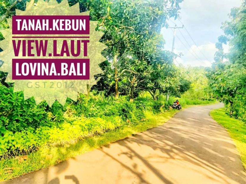 Jual Tanah Kebun View Laut Lovina Singaraja Bali