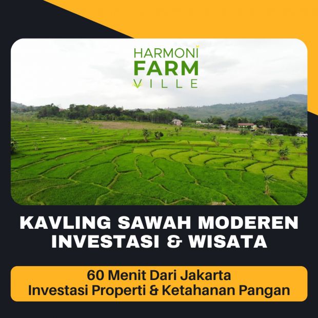 Dijual Kavling Tanah Sawah Shm Produktif Beras Berkualitas Jam Dari