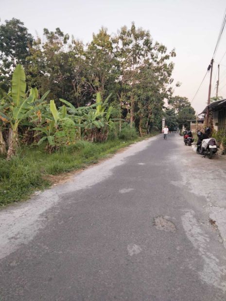 Kode Tp Tanah Pekarangan Bagus View Gunung Merapi Di Berbah Sleman