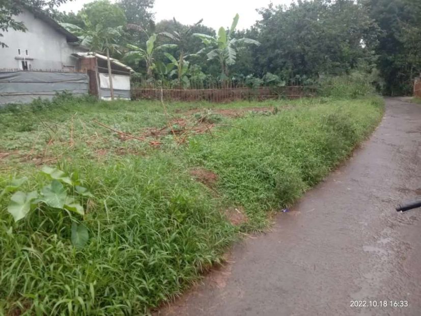 Di Jual Tanah Kebun Luas Mtr Akses Mobil Jalan Dsa