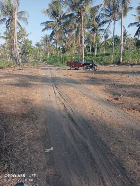 Di Jual Tanah Murah Tegalan Di Pleret Panjatan Kulon Progo