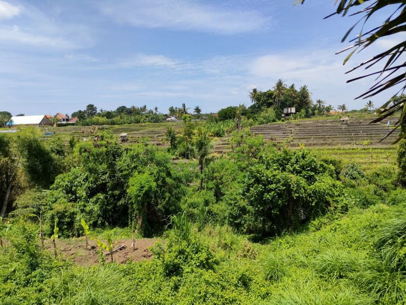 Tanah Los Sungai View Sawah Di Singapadu Sukawati Celuk Central Ubud