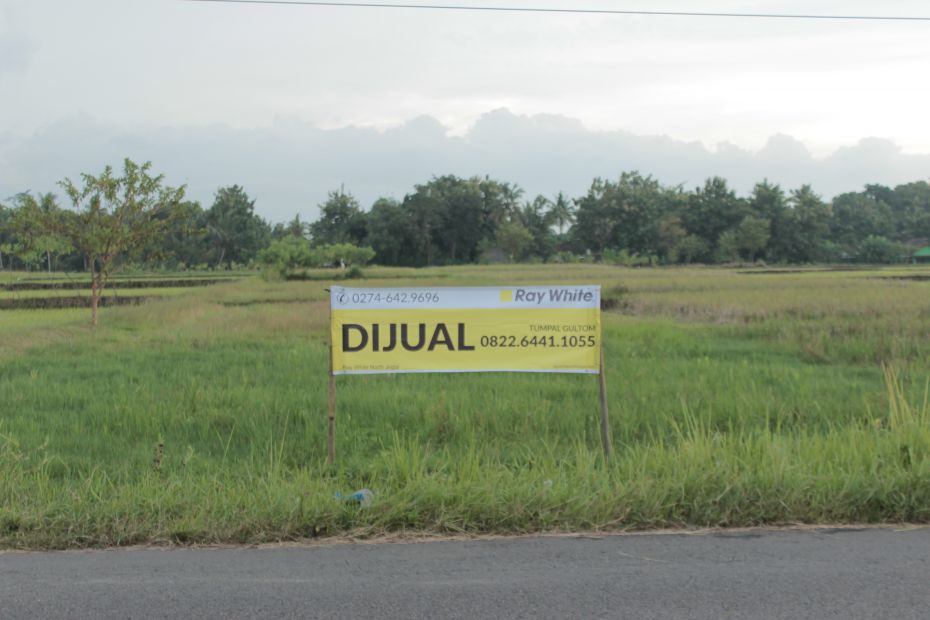 Tanah Sawah Seluas Meter Persegi Di Jl Godean