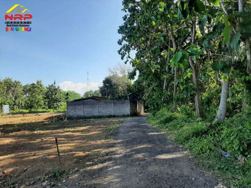 Dijual Tanah Kebun Strategis Di Ds Gitik Rogojampi