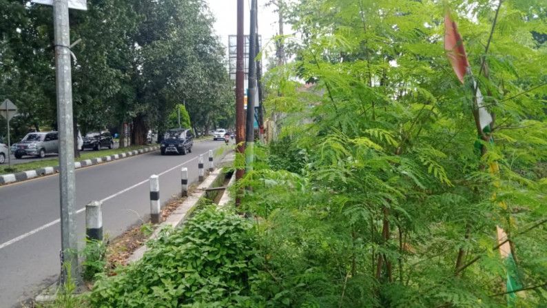 Av Tanah Sawah Seluas Meter Persegi Di Jl Raya Solo Yogyakarta