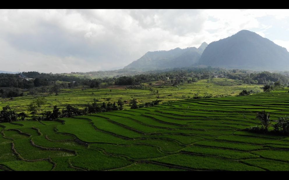 Jual Tanah Murah View Gunung Dekat Jakarta Konsep Sawah