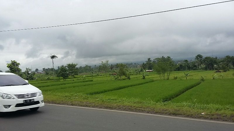 Tanah 12 Ha di Desa Babakan Kec. Cisaat Cibolang Baros, Sukabumi