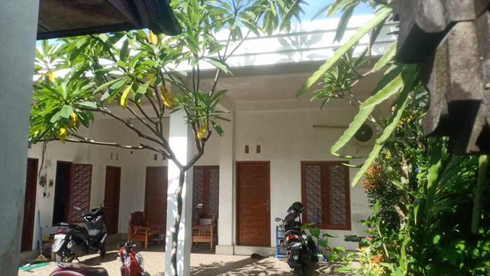 Buc Rumah Kost Di Area Kampus Udayana Dan Poltek Jimbaran Bali