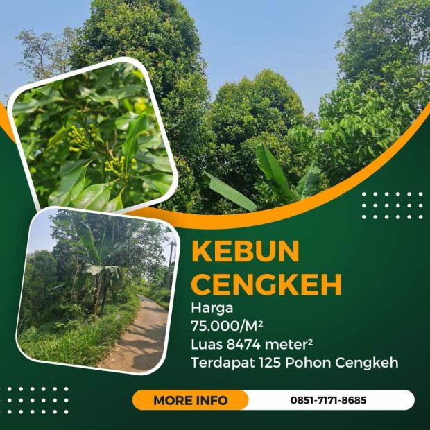 Jual Kebun Cengkeh Bandung