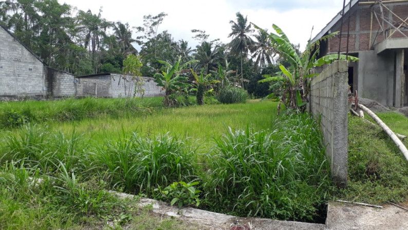 Lukas Tanah Sawah Seluas Meter Persegi Di Jl Pakisaji Pakem Sleman