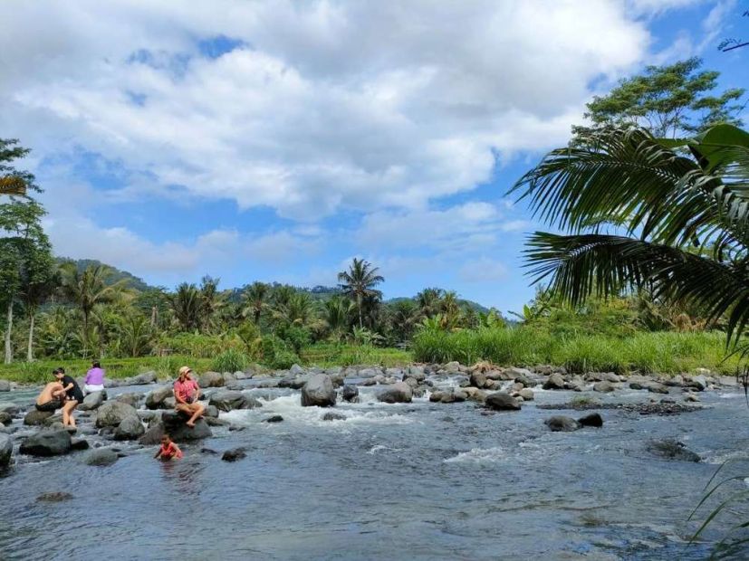 AMAZING Full View Padi & LOS Sungai Dekat Natya River Sidemen Bali