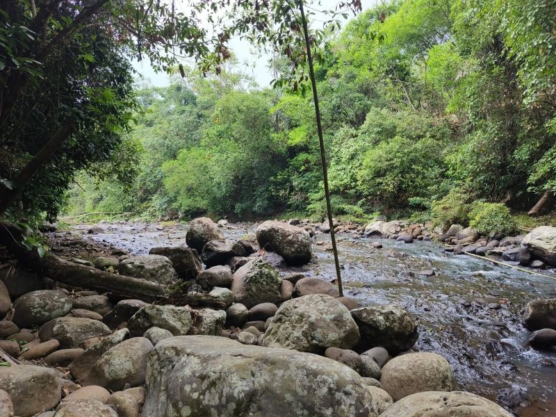 Tanah Los Sungai Murah View Lembah Di Tabanan Bali