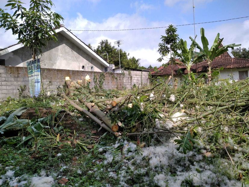 Juta Sudah Bisa Investasi Tanah Pekarangan Area Sleman