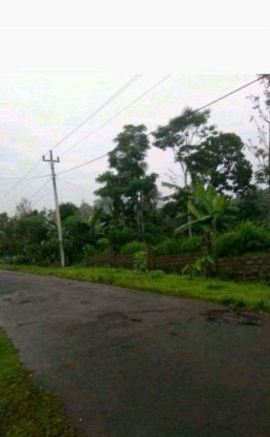 Tanah Disewakan Cocok Untuk Gudang Atau Garasi Di Ampel Boyolali