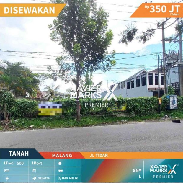 Disewakan Tanah Lokasi Jl Tidar Nol Jalan Sebelah Djemari Tidar