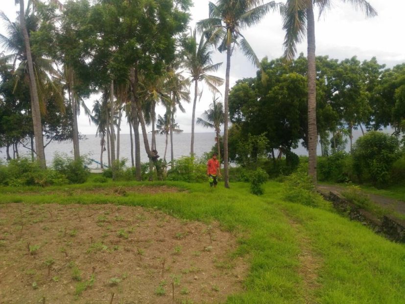 Dijual Cepat Sebidang Tanah Kosong Kawasan Los Pantai Tulamben