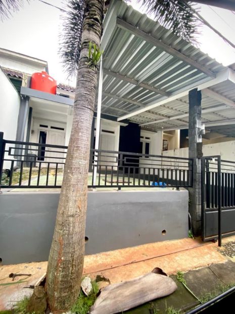 Di Sewakan Rumah Bagus Dekat Kampus Undip Tembalang