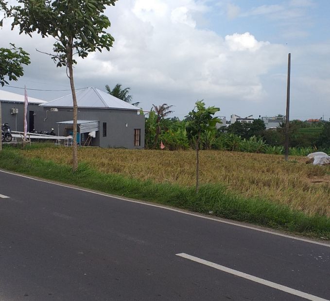 Dikontrakan Are Jl Padang Linjong Batu Mejan Men Lari Raya Canggu