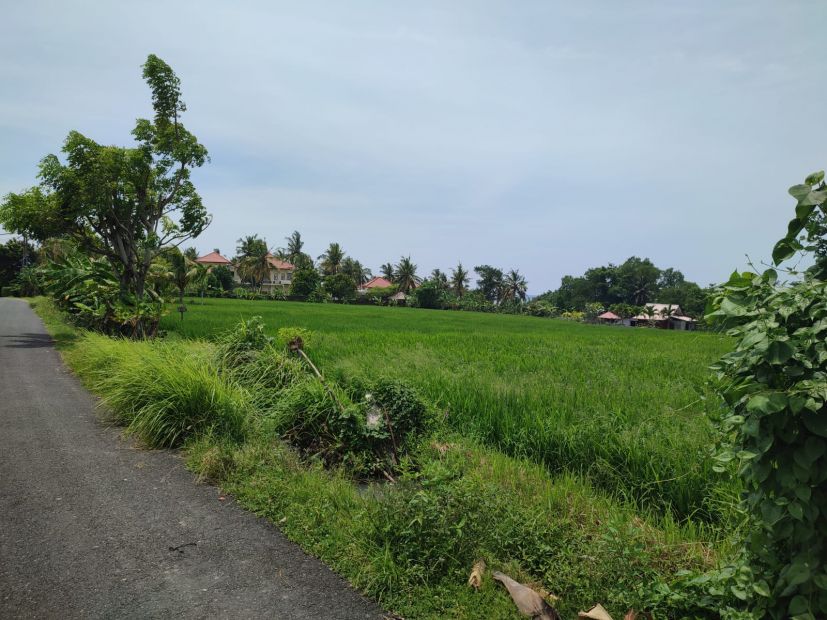 Lahan Siap Bangun Pantai Cemagi