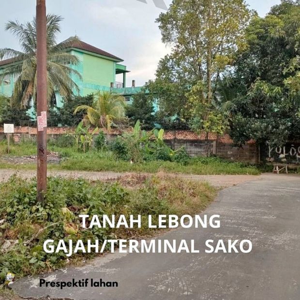 Tanah Pinggir Murah Jalan Lokasi Lebong Gajah Sematang Borang