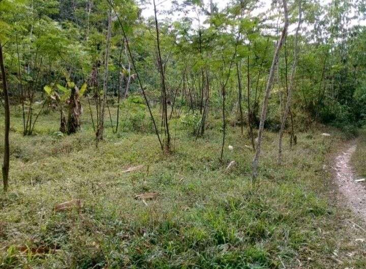 Land For Sale In Malaysia Mudah My