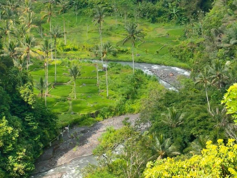 FAVORITE Tanah Los Sungai & Full View Padi Sidemen Dekat Bird Hill