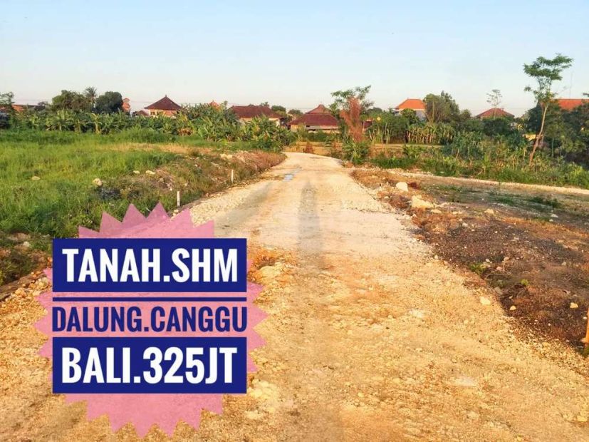 Jual Tanah View Sawah Gunung Di Tuka Dalung Canggu Kuta Bali