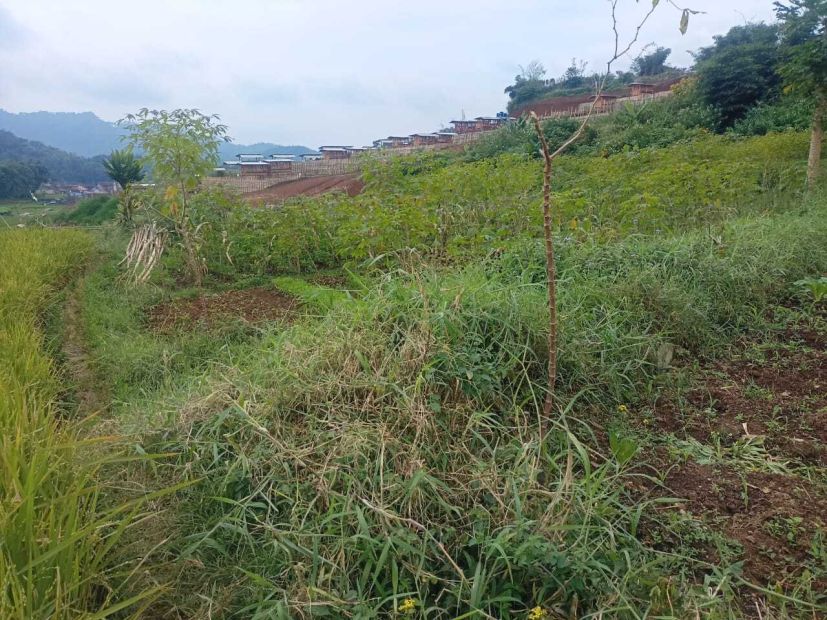 Tanah Pekarangan Pemandangan Cantik Ciwidey-Bandung