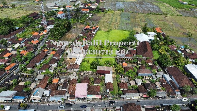 Disewakan Tanah Luas Are View Sawah Kawasan Villa Di Ubud