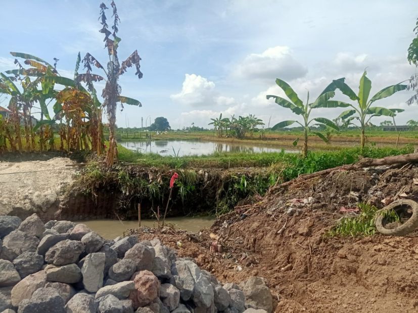 Buc Tanah Kavling Jutaan Di Denpasar Timur