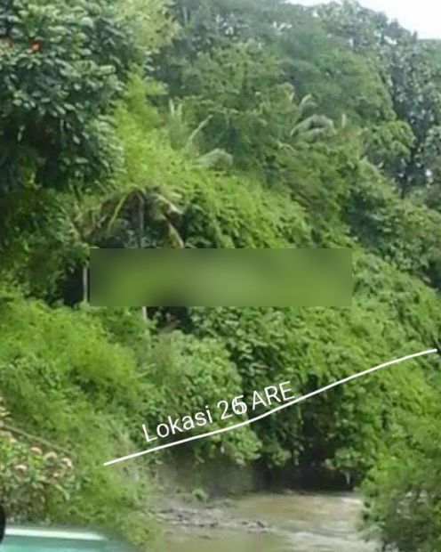 Tanah Los Tebing Dan View Jungle Di Lingkungan Villa Mewah Jalan Pantai Nyanyi