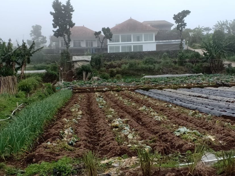 Dijual Santai Sebidang Tanah Pertanian Tanah Perkebunan Di Kawasan