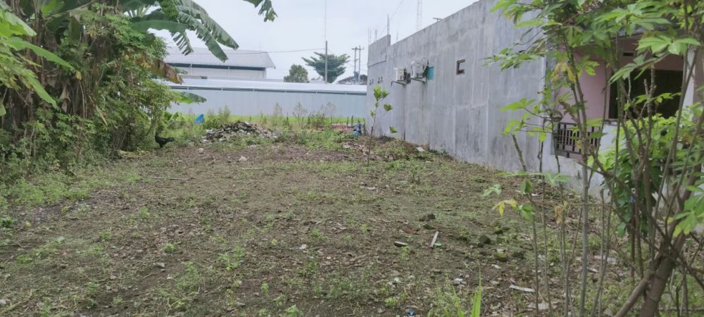 Di Jual Tamah Pekarangan Di Timur Candi Prambanan Tlogo Klaten