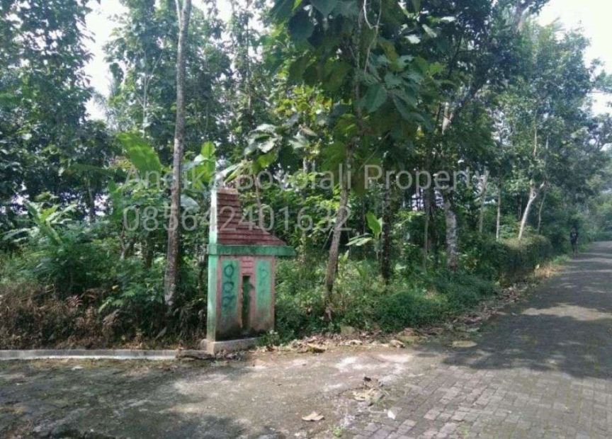 Tanah Murah Dekat Kawasan Industri Di Ampel Boyolali