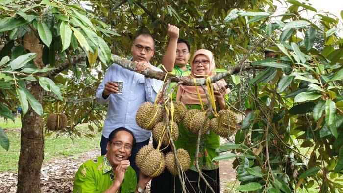 Jual Kavling Tanah Murah Gratis Kebun Buah Income Puluhan Juta