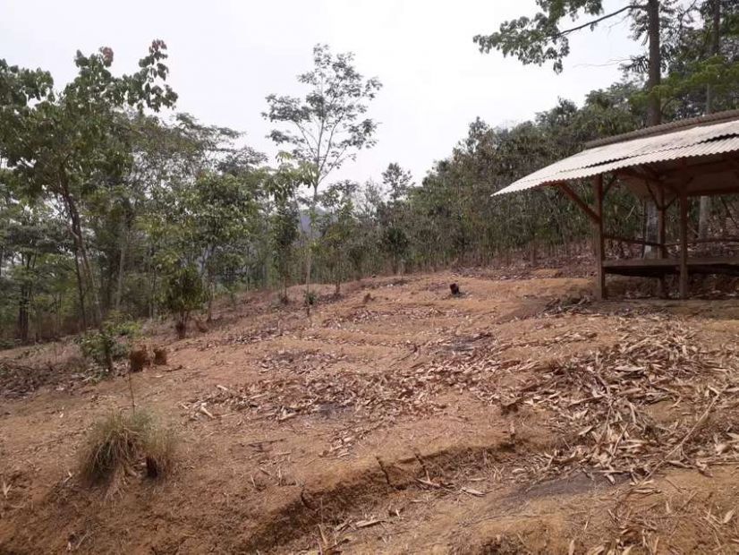 46 Mimpi berak di tanah