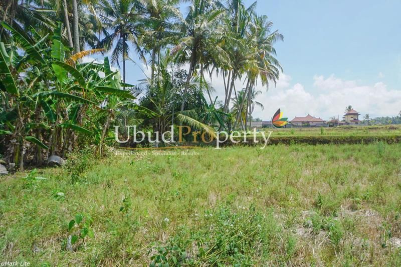 LLU.13 - Bangun rumah impian Anda di dekat sawah!