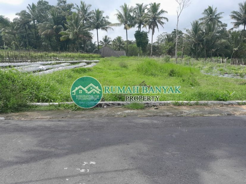 Jual Tanah Murah Di Pakem Cocok Untuk Villa