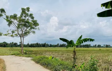 Tanah Dijual di Galesong, Takalar, Sulawesi Selatan