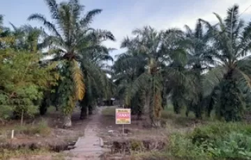 Tanah Dijual di Lubuk Gaung, Dumai, Riau