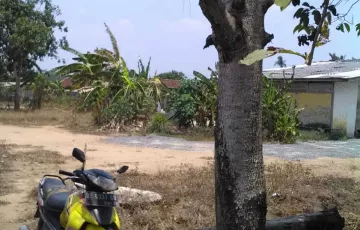 Tanah Dijual di Way Pangubuan, Lampung Tengah, Lampung