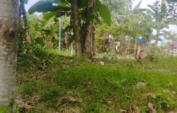 Tanah Disewakan di Wua Wua, Kendari, Sulawesi Tenggara