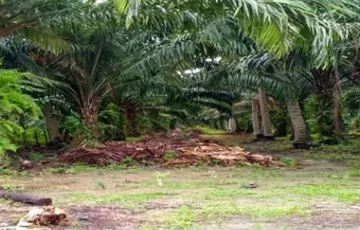 Tanah Dijual di Bangsal Aceh, Dumai, Riau
